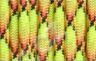 Šňůra paracord žluto-černá X202